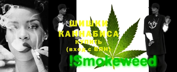 стаф Сосновка