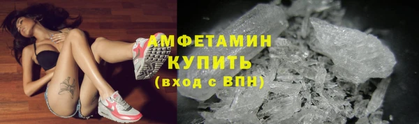 стаф Сосновка