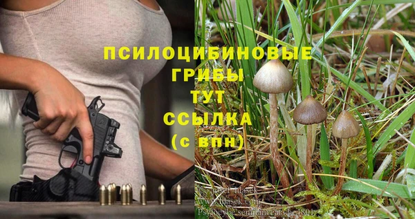 каннабис Сосновый Бор