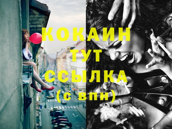 стаф Сосновка