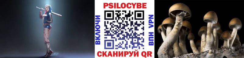 Псилоцибиновые грибы прущие грибы  Талдом 